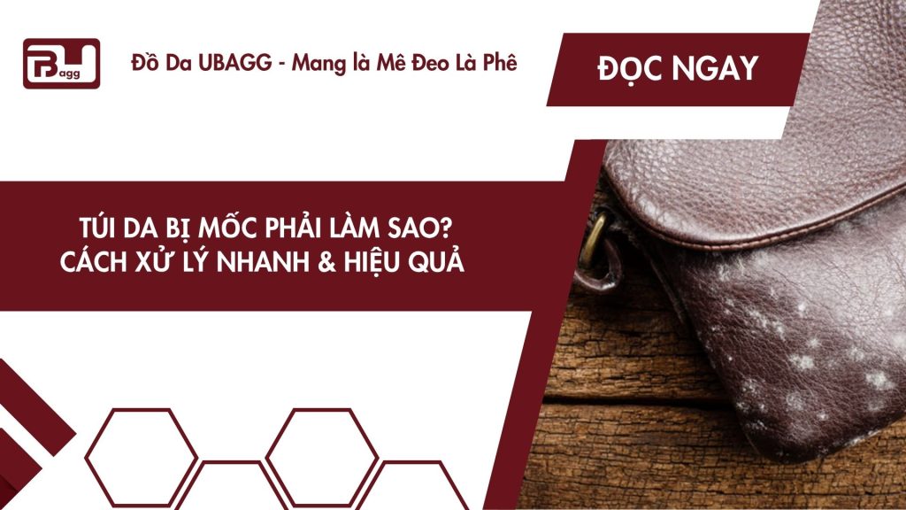túi da bị mốc